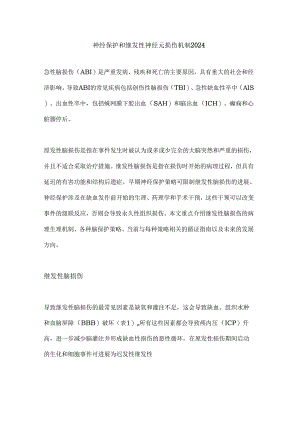 神经保护和继发性神经元损伤机制2024.docx