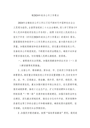 镇2024年政务公开工作要点.docx