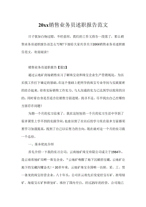 20xx销售业务员述职报告范文.docx