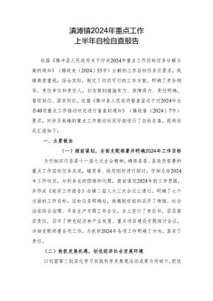 滇滩镇2024年重点工作自检自查报告.docx