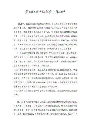 劳动监察大队年度工作总结.docx