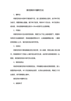 紫花枫林木播种方法.docx
