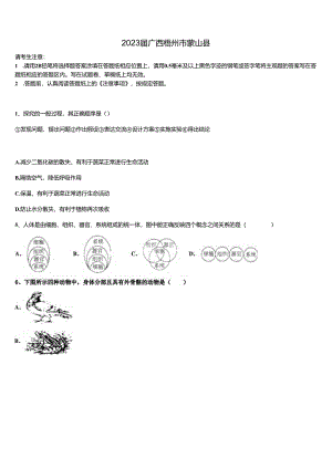 2023届广西梧州市蒙山县含解析.docx
