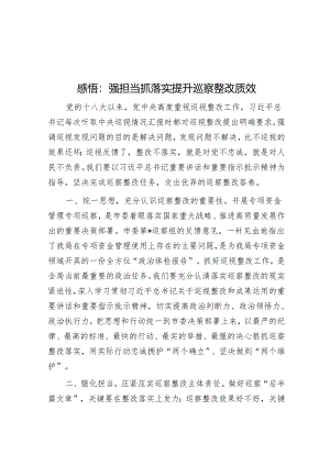 感悟：强担当抓落实 提升巡察整改质效&镇长巡察整改专题民主生活会对照检查材料.docx