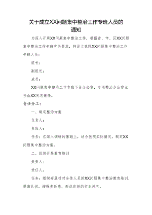 XX问题集中整治专班人员.docx