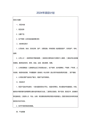 2024年项目计划.docx
