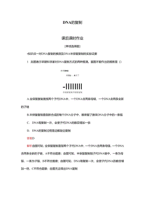 2023-2024学年 人教版 必修二 DNA的复制 作业.docx
