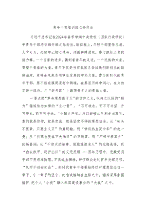 青年干部培训班心得体会.docx