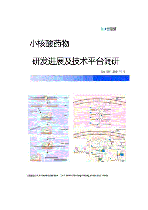 小核酸药物研发进展及技术平台调研.docx
