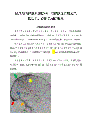 临床颅内静脉系统结构、脑静脉血栓形成危险因素、诊断及治疗要点.docx