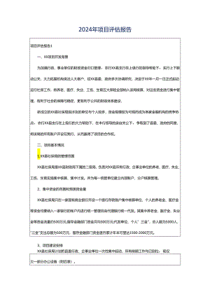 2024年项目评估报告.docx