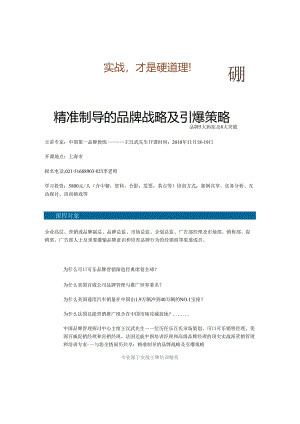 3098-11月18日 精准制导的品牌战略及引爆策略--品牌5大病症及8大突破.docx