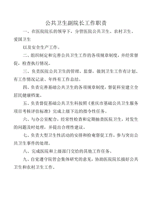 公共卫生副院长工作职责.docx