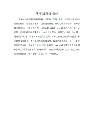 菠菜播种注意啥.docx
