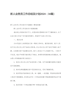 新人业务员工作总结及计划2024（34篇）.docx