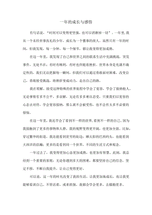 一年的成长与感悟.docx