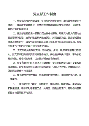 党支部工作制度.docx