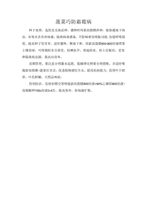 菠菜巧防霜霉病.docx