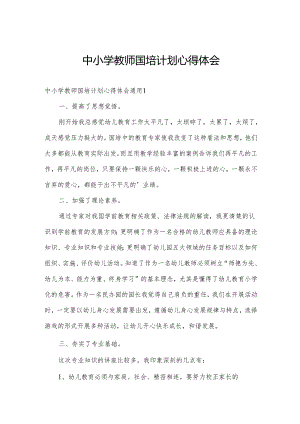 中小学教师国培计划心得体会.docx