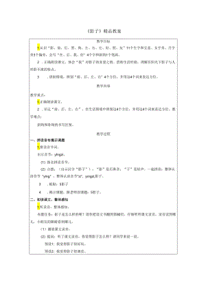 《影子》精品教案.docx