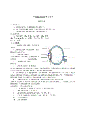 3.4眼睛和眼镜.docx