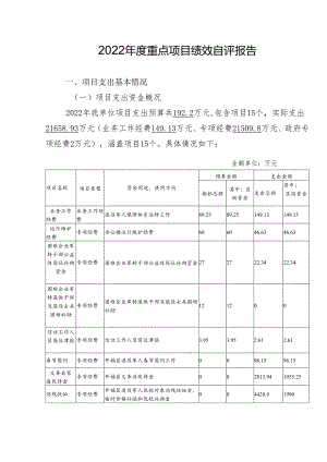 2022年度重点项目绩效自评报告.docx