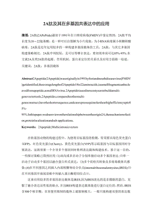 2A肽载体.docx