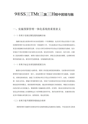预算管理一体化系统实施过程中困境与解决方法.docx