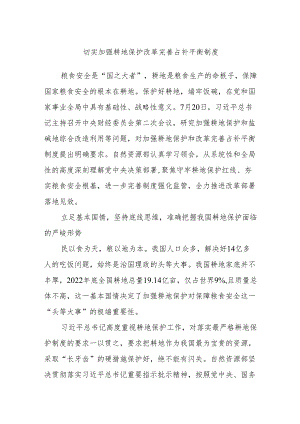 切实加强耕地保护 改革完善占补平衡制度.docx