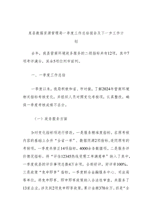 某县数据资源管理局一季度工作总结报告及下一步工作计划.docx