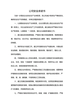 公司安全承诺书.docx