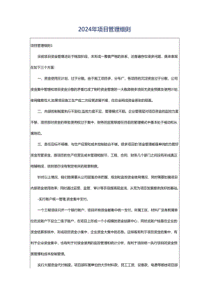 2024年项目管理细则.docx