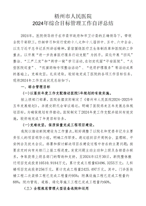 梧州市人民医院2024年医院综合目标检查总结(终稿).docx