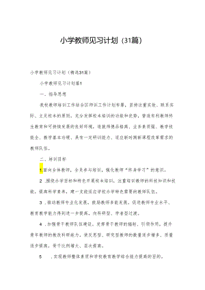 小学教师见习计划（31篇）.docx