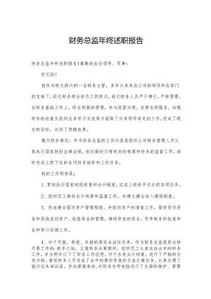 财务总监年终述职报告.docx