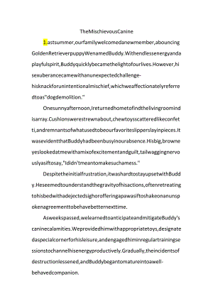 狗拆家的英文作文.docx