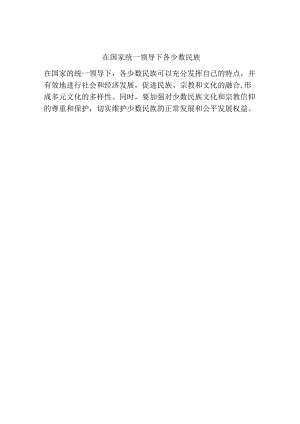 在国家统一领导下各少数民族.docx