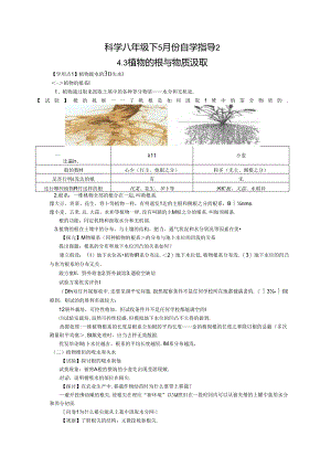4.3 植物的根与物质吸收.docx