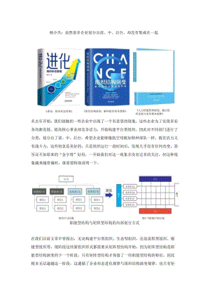 杨少杰：虽然很多企业划分出前、中、后台却没有集成在一起.docx