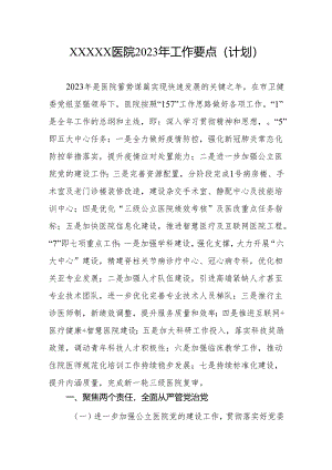 医院2023年工作要点(计划).docx