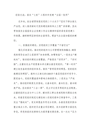 经验交流：落实“七抓”工程织牢党建“全国一张网”.docx
