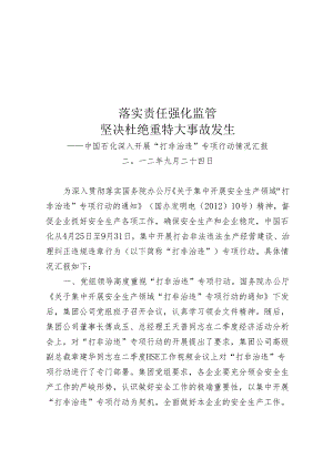 中国石化“打非治违”专项行动总结[1].docx
