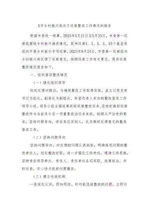 X市乡村振兴局关于巡察整改工作情况的报告.docx