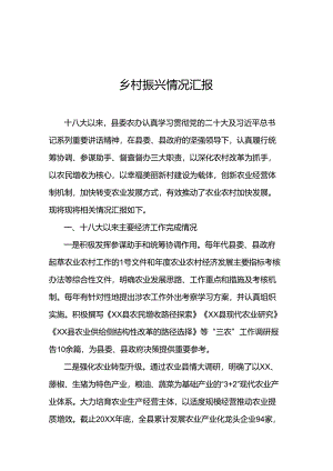 乡村振兴情况汇报.docx