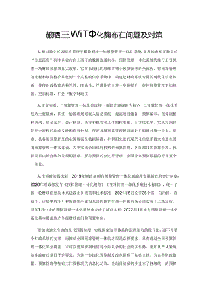 市级预算管理一体化系统存在问题及对策.docx