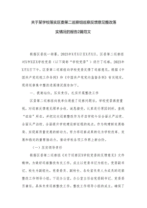 关于某学校落实区委第二巡察组巡察反馈意见整改落实情况的报告2篇范文.docx