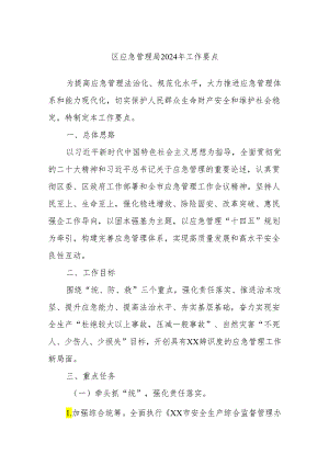 区应急管理局2024年工作要点.docx