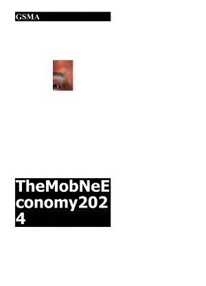 2024年移动经济报告（英）.docx