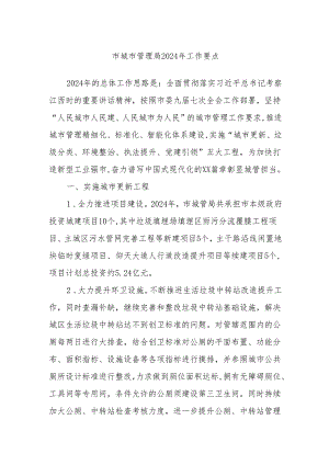 市城市管理局2024年工作要点.docx