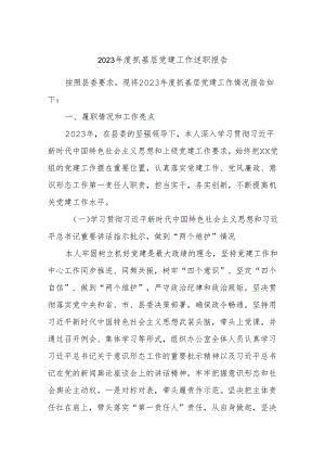 2023年度抓基层党建工作述职报告.docx